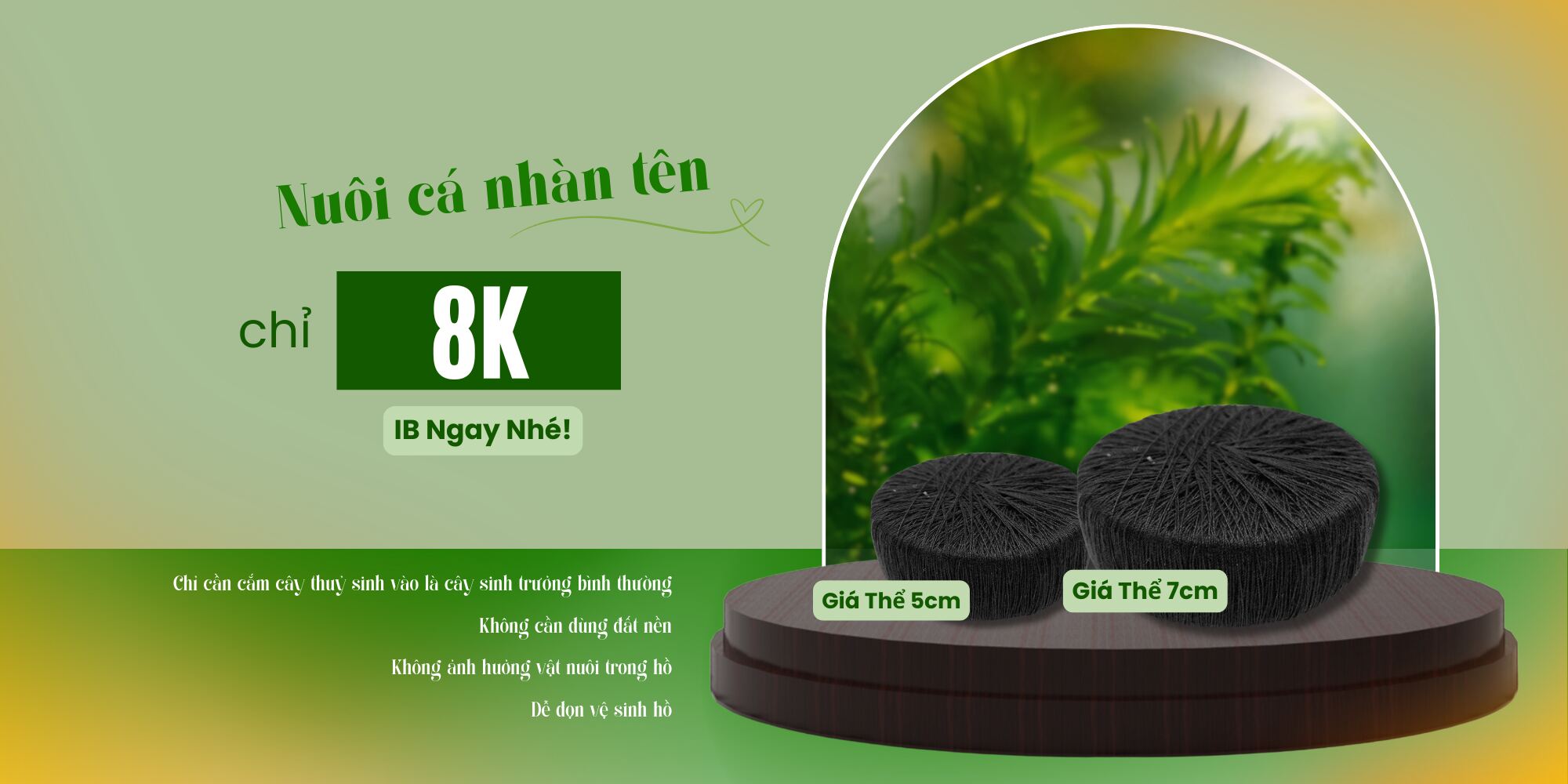 Cám Cá Cargill 7404 size S nhuyễn 0.3mm - thức ăn Cá Cảnh: Bảy Màu, Ba Đuôi, Betta,Cá Vàng...