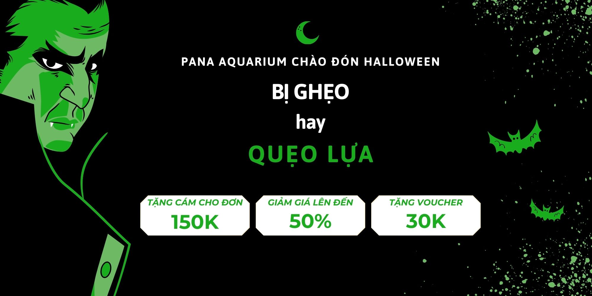 Cục Sủi Oxy, Đá Sủi Gắn Máy Oxy cho bể cá cảnh, bể thủy sinh và Phụ Kiện