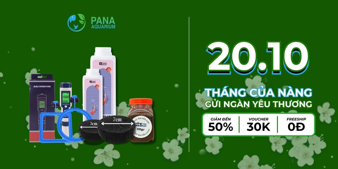 Cục Sủi Oxy, Đá Sủi Gắn Máy Oxy cho bể cá cảnh, bể thủy sinh và Phụ Kiện