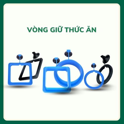 Vòng vuông cho cá ăn, vòng giữ thức ăn không bị phân tán, khay cho cá ăn
